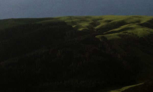 DOIGTS DE PIED EN ÉVENTAIL - Une année scolaire en Nouvelle-Zélande