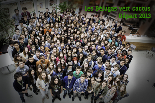Promo ’13 « Départ à l’étranger », Les Bélugas vert cactus