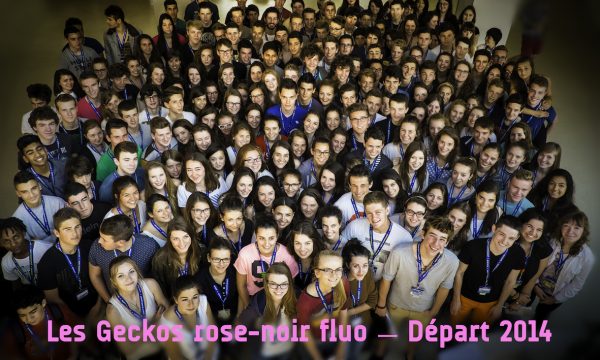 Promo ’14 — Départ à l’étranger — Les Geckos rose-noir fluo