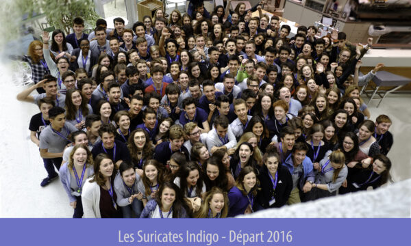 Promo ’16 — Départ à l’étranger — Les Suricates Indigo